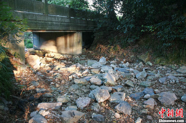 杭州山涧图片:杭州高温连续5天突破40℃“烤干”九溪十八涧