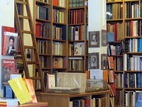 法国独立书店，能否“独”善其身？
