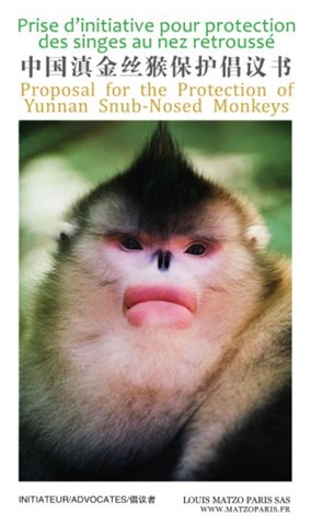 艾美奖引发迷你剧热巴黎美爵欲在中国拍摄滇金丝猴