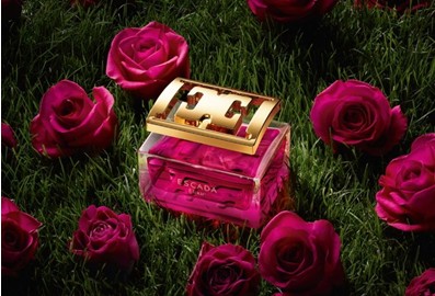 冬季阳光下的玫瑰芬芳四款甜美幸福的爱情香水