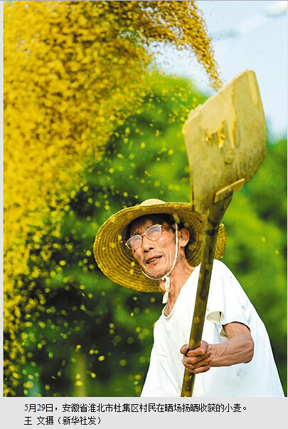 冬麦农业部图片:夏粮开镰