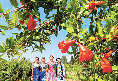 叶城县叶城图片:石榴花节