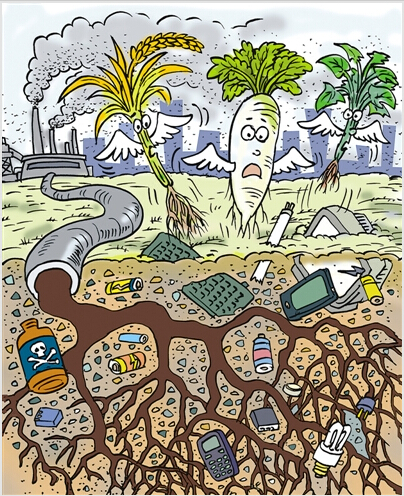 土壤污染农产品图片:网友来打油(12)