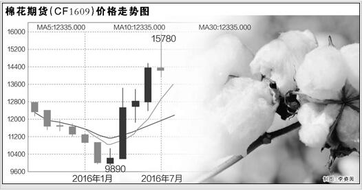 “棉花掌”重创纺织业谁在助推棉价暴涨