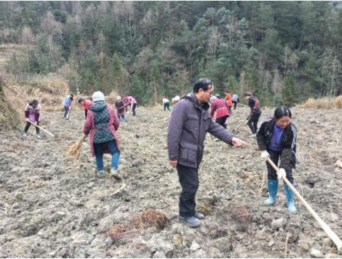 情系望十岭——七旬老人张庆陆投资千万建产业助推脱贫致富